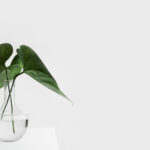Another Hover Image Post