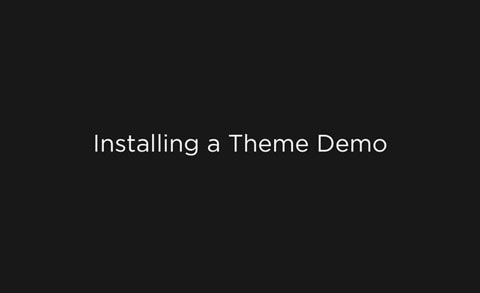 Installing a Theme Demo